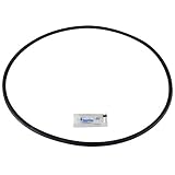 Pentair 27001-0061S Body O-Ring for Tank Replacement for select Sta-Rite Pool and Spa Filters