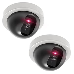 WALI Dummy Fake Security CCTV Dome Camera with Flashing Red LED Light with Security Alert Sticker Decals (SDW-2), 2…