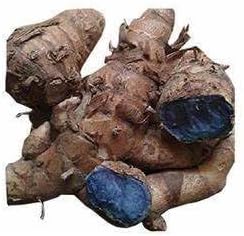 GABHISMEEN Kali Haldi Or Black Turmeric Or Narkachur Or Narkachoor Raw And Natural (50 Gram)
