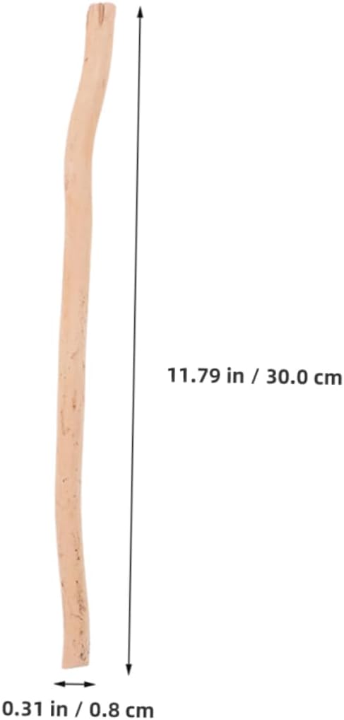 ABOOFAN 50pcs Natural Dried Twigs for Crafting and DIY Projects Versatile Branches for Home Decor Landscaping and Unique Displays Approx Birch Sticks for Creative Arrangements