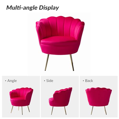 Image of HULALA HOME Modern Velvet Accent Chair with Shell Shaped Back, Cute Living Room Bedroom Armchair Sofa Chair with Gold Legs, Comfy Upholstered Vanity Chair for Makeup Room, Fushia
