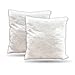 LANTBERG | Poduszka 45 x 45, zestaw 2 poduszek dekoracyjnych, z poliestru i wypełniona silikonem, poduszka na sofę, zmywalna i łatwa w pielęgnacji