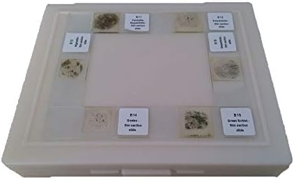Higher Education Geological Research 100pcs/set Mineral Thin Section Prepared Slides