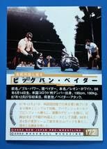 Amazon.co.jp: BBM2002新日本プロレスカード 30周年記念カード#172 BIG