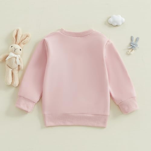Toddler Baby Boy Girl Easter Outfit Bunny Embroidery Sweatshirt Long Sleeve Pullover Shirt Tops Spring Clothes4