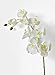 Meiliy 2pcs 11 Heads White Artificial Phalaenopsis Flower Real Touch Butterfly Orchid Flower Latex Orchids for Home Decoration Wedding Centerpieces Decorative Artificial Flowers (with no vase)