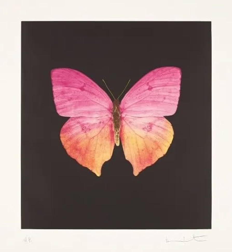 Amazon.co.jp: ダミアン・ハースト ポスター 蝶の壁アート ダミアン