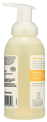Image of 365 by Whole Foods Market, Hand Soap Foaming Satsuma Eucalyptus, 12 Fl Oz (Pack of 2)