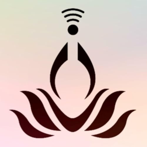 Couverture de Sintonize-se