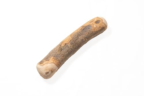 WoodWoof Masticativi Naturali per Cani - Stick Ulivo M 120-250 g - Antistress, Senza Additivi, Igiene Dentale - Cani 15-25 kg