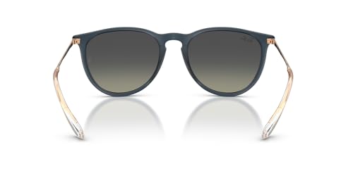 Image of Ray-Ban RB4171 Erika Round Sunglasses
