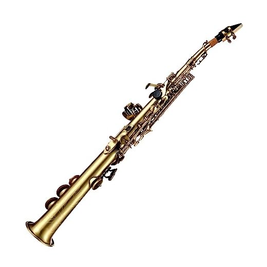 HUIOP Saxofón,Saxofón soprano Bb recto de latón profesional,saxofón niquelado,instrumento de viento de madera,patrón tallado con estuche de transporte,boquilla,kit de limpieza de caña,guantes,correas,