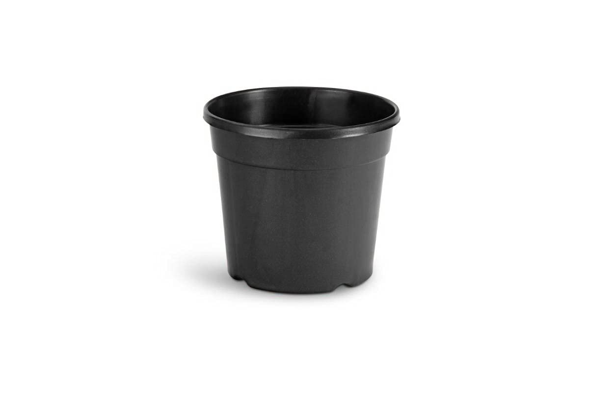 Gardens Need 100% Virgin Plastic Nursery Pot -5" | Set of 5 Planter, (13cm x 10cm x 13cm, Black) (B087NCS46B) Amazon Price History, Amazon Price Tracker