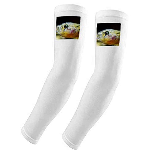Housse de gants poissons tropicaux de qualité supérieure avec filtre UV