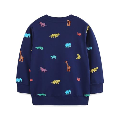 Boys Sweatshirts Casual Sweatshirts Cotton Sweatshirts Long Sleeve T-shirts Crew Neck Cartoon Tops for Boys-3722