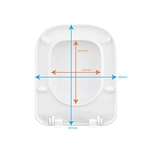 KOHLER Span (Square) Quiet Close Toilet Seat (White)