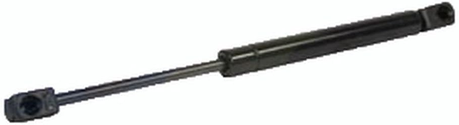A-RE234988-AI Cylinder; Gas Operated, Rear Window