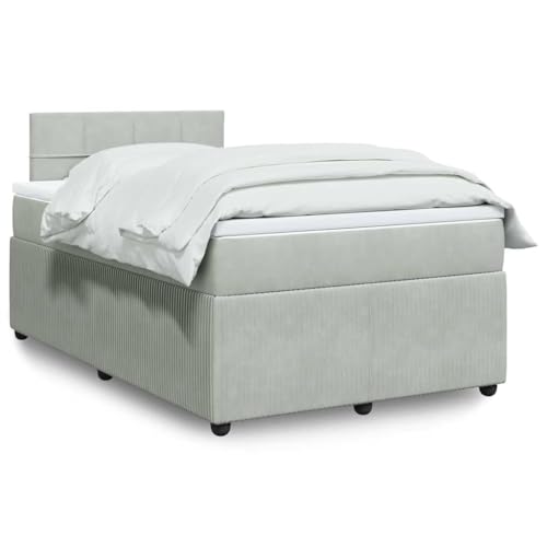 vidaXL Boxspringbett, Doppelbett mit Matratze Matratzenauflage, Bettgestell mit Lattenrost Kopfteil, Polsterbett Bett für Schlafzimmer, Hellgrau 120x200cm Samt
