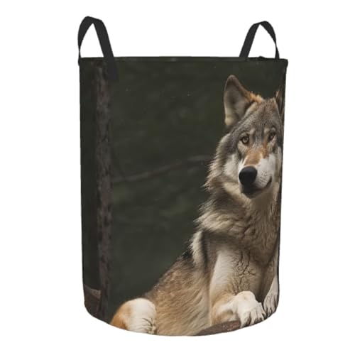 Panier à linge imperméable pliable gris grand format avec poignées