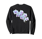 Stylish Gorgeous Orchids Flowers Shapes Mania