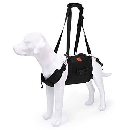The Best Dog Lift For Stairs 8 LOOBANI Emergency Dog Lift Harness for Back Legs, Help Em ...