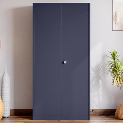 Image of Interio by Godrej Luminex NX 2-Door Steel Almirah (Textured Phiroja Blue), 1-Year Warranty, 1 Locker, 5 Shelves