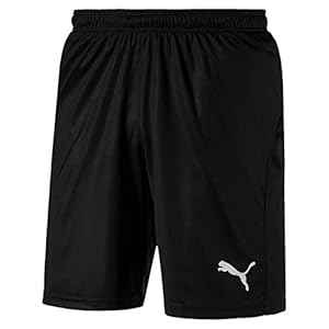 Puma Mens LIGA Core Shorts
