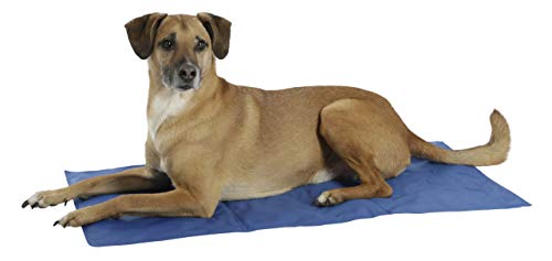 Kerbl Pet Kühlmatte Cool-Relax für Hunde (Farbe blau, LxB 50x40 cm, mit Kühlgel, funktioniert ohne Strom, selbstkühlend, robust, für drinnen, draußen und unterwegs, Kühlkissen, Tierzubehör) 80841