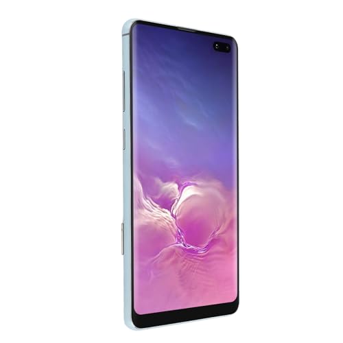 Cosiki Kit de Remplacement D'écran LCD pour S10 Plus 6,4