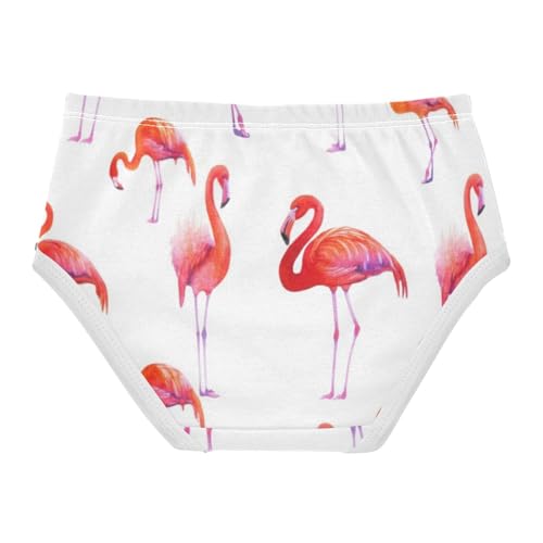 Fancy Toddler Girls Underwear 2t Cotton Panties for Girl Flamingos Poses White Pink Briefs Girls Undies2