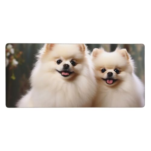 Tapis de souris de jeu XXL anti-glisse 80x40 cm sous-main Poméranie
