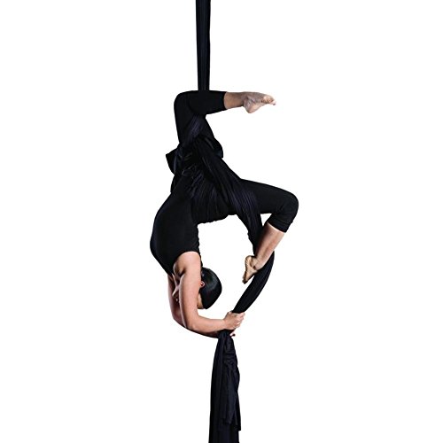 image for F.Life Aerial Silks Standard Kit Pilates Yoga Flying Swing Aerial Yoga