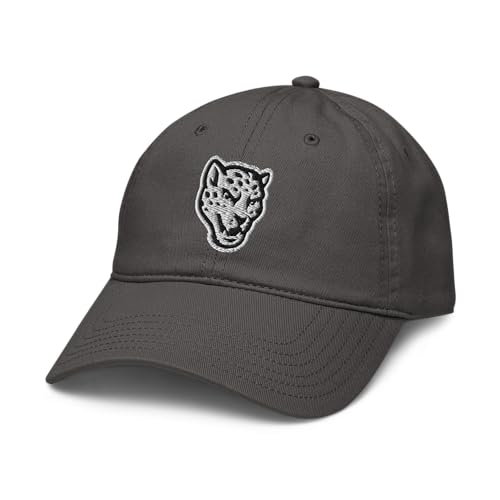 Texas A M San Antonio Jaguars Gray Officially Licensed Adjustable Baseball Hat
