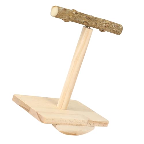 VRؐ̒̃XCO~܂̃g[jÓApLGbĝ߂̃A`XbvpiX^hAVRؐ̂ێ