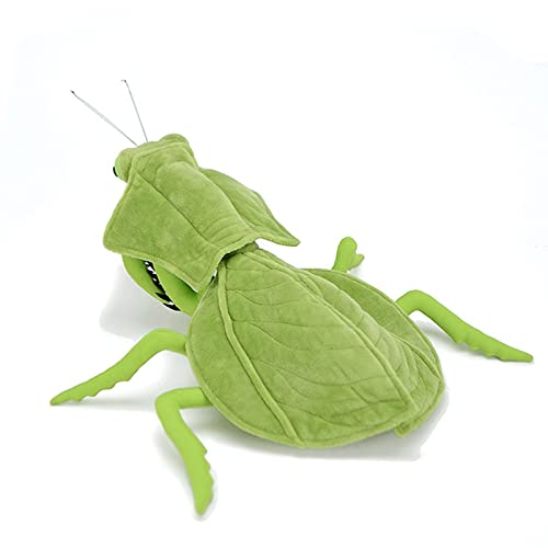 Lilizzhou Max Realistic 33cm/13” Mantis Plush Toy, Cute Mantis Stuffed Animal, Super Soft Home Decoration, Gift for Kids - Image 4