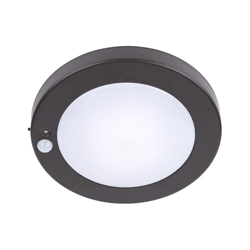 YoonLIT Flush Mount Motion Sensor Ceiling Light