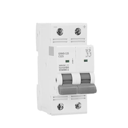 Din Rail DC MCB 6KA 2P 12V 500VDC Mini Circuit Breaker DC 80A 100A 125A MCB for Solar PV 1Pcs(100A)