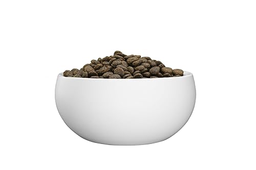 Green Petfood InsectDog High Protein mit Insekten & Lachs (1 x 3 kg) | Adult | Premium Trockenfutter für ausgewachsene aktive Hunde | mit roten Linsen | kleine Krokette | getreidefrei | 1er Pack