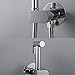 Handheld Bidet Sprayer for Toilet Hot and Cold Water Baby Cloth Diaper Sprayer Wall Mounted Brass Toilet Sprayer High Pressure Handheld Sprayer Kit for Personal Hygiene Cleaning,Black (Color : Chrome