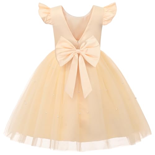 JerrisApparel Girls Princess Party Dress Kids Satin V-Back Tulle Skirt Pageant Wedding Ball Gowns