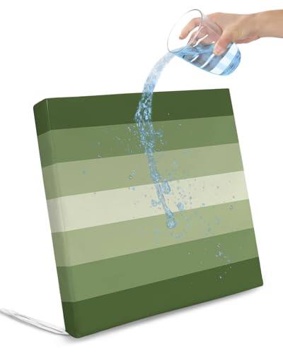 Edwiinsa Gradient Sage Green Indoor/Outdoor Seat Cushions Cover,Waterproof Patio Chaise Lounge Cushion Cover for Beach Pool Side Chair Cushions 20x18x4 Pieces Modern Abstract Minimalist Geometric