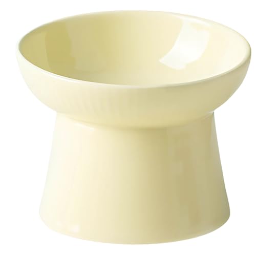 DIZLAS t[h{E  L ybg{E rt  H a  ybgpi (CG[, X΃^Cv)