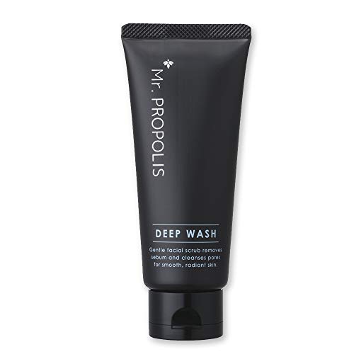 Rc{I Mr. PROPOLIS fB[vEHbV 100g jptH[ 玉 ь  ς XLPA eJȂ VF[rO