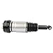 Rear Air Suspension Strut Shock Absorber C2C41340 Replacement for 2004-2009 Jaguar XJR, XJ8, Van-den Plas, 2005-2009 Super V8, 2010 XJ 2W935A965EC 44-069506