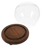 BAZEITFLOW Cupola Espositiva in Vetro Trasparente Rotonda con Base in Legno, Campana di Vetro per Fiori Conservati e Micro Paesaggi, Vetrina Decorativa Elegante per Scrivania e Centrotavola