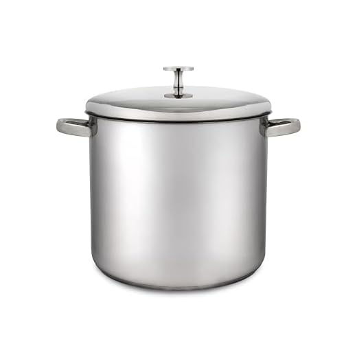 MasterClass induktionssäker rostfritt stål i kruka 5.5 Litre SILVER