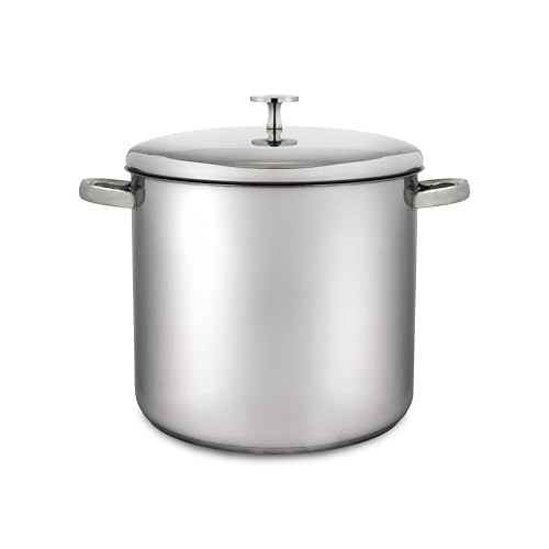 MasterClass Marmita, Marmita de acero inoxidable apta para inducción con tapa, Marmita grande para sopas, guisos y caldos, Pulido espejo, 5,5 litros, Plata