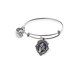 Alex and Ani Disney Evil Queen Bangle Bracelet Disney Villains Deliciously Wicked