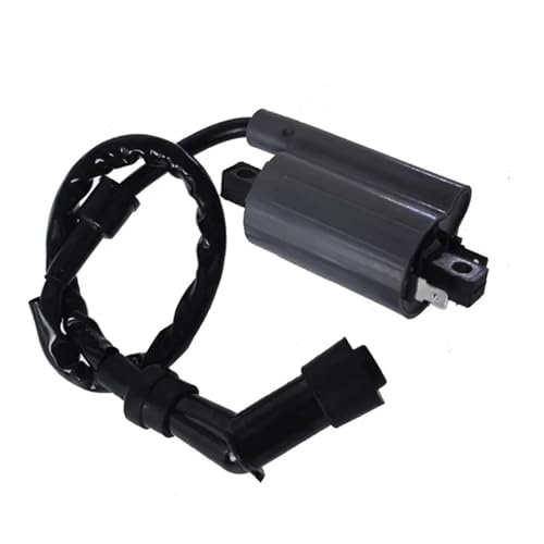 Bobina de encendido para Raptor 700: soluciona los fallos de arranque y tirones de tu ATV