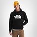 The North Face Men's Evolution Half Dome Hoodie - Adventure Ready Hood with Adjustable Drawcord, Kangaroo Hand Pocket, TNF Black, Large